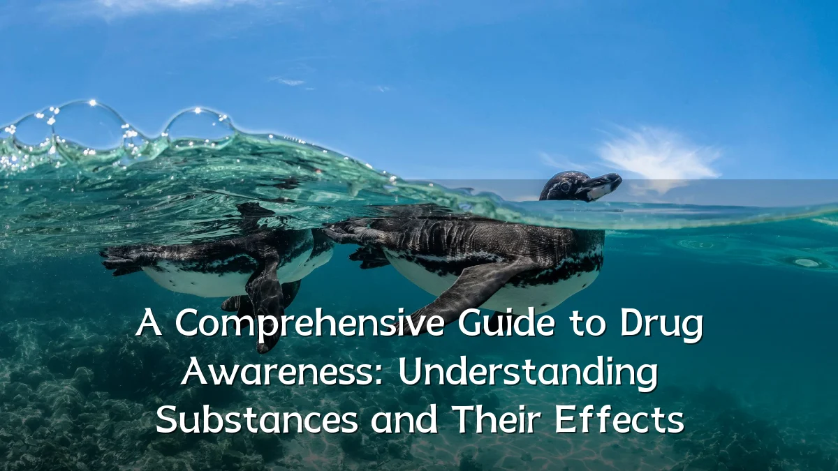 A Comprehensive Guide to Drug Awareness: Understanding Substances and Their Effects