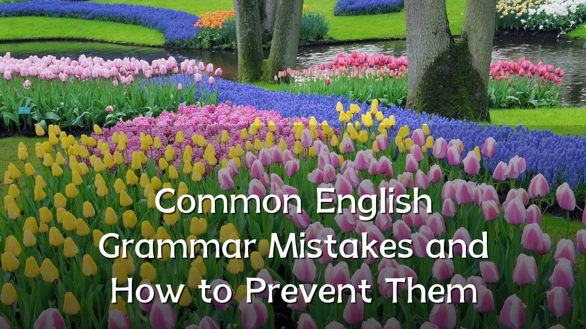 Common English Grammar Mistakes and How to Prevent Them
