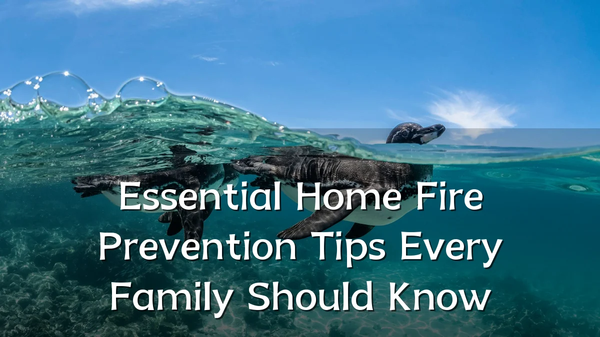 Essential Home Fire Prevention Tips Every Family Should Know