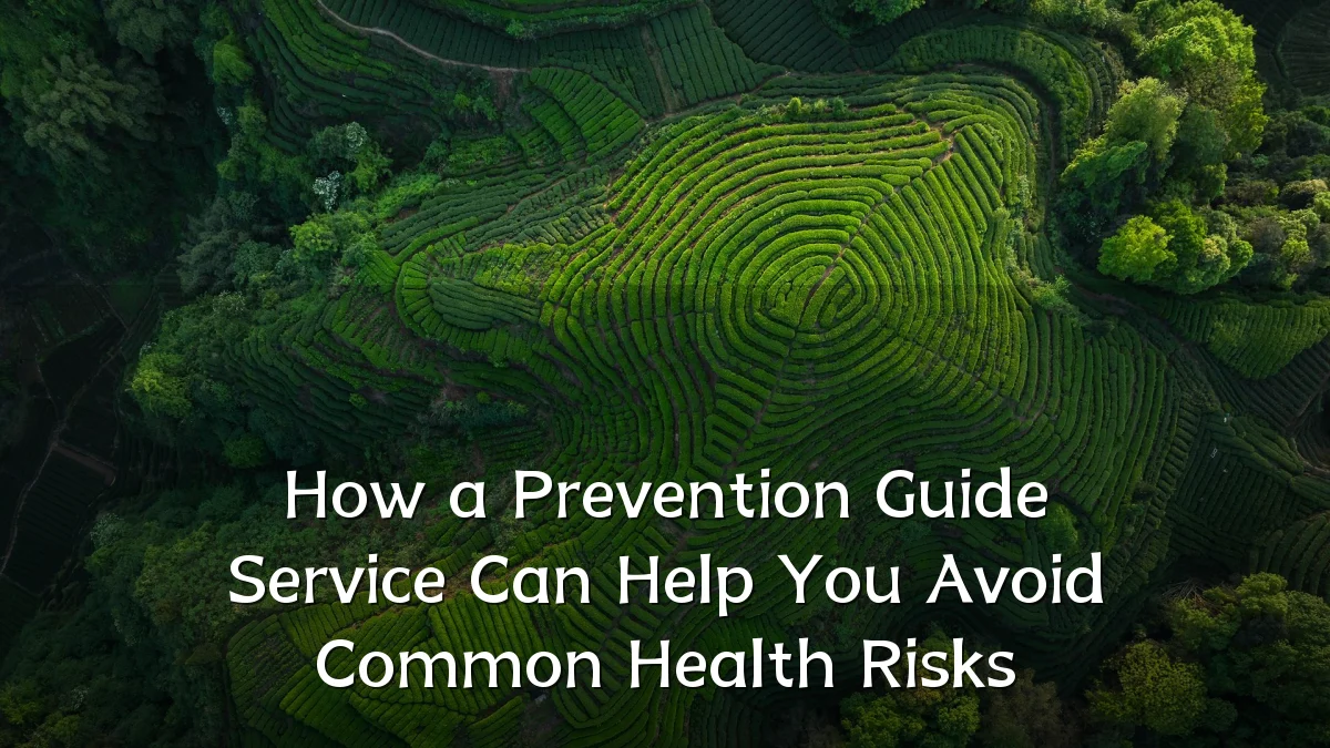 How a Prevention Guide Service Can Help You Avoid Common Health Risks