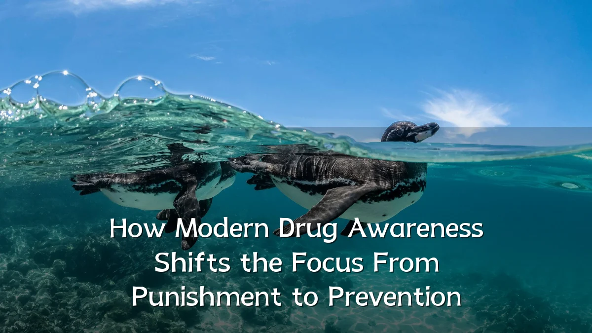 How Modern Drug Awareness Shifts the Focus From Punishment to Prevention