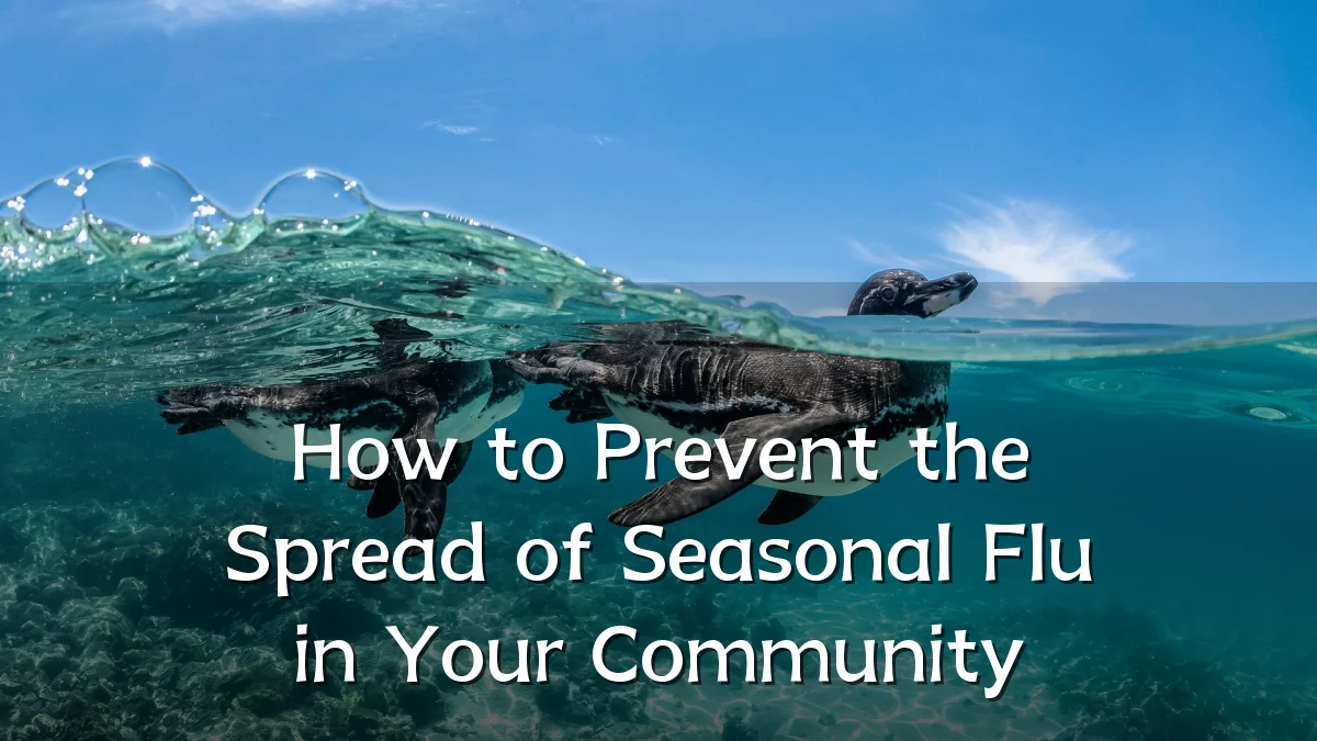How to Prevent the Spread of Seasonal Flu in Your Community