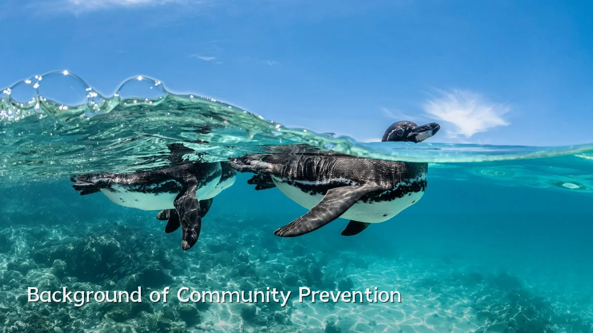 Background of Community Prevention