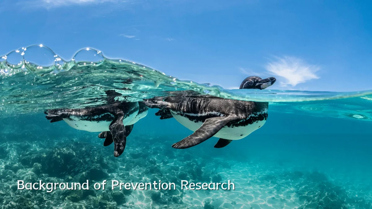 Background of Prevention Research