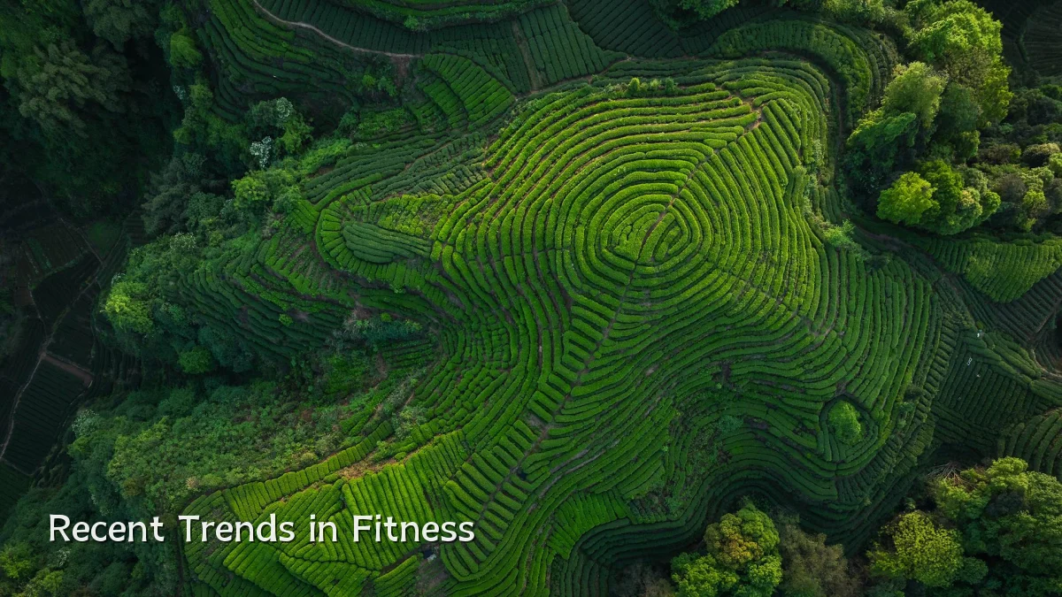 Recent Trends in Fitness