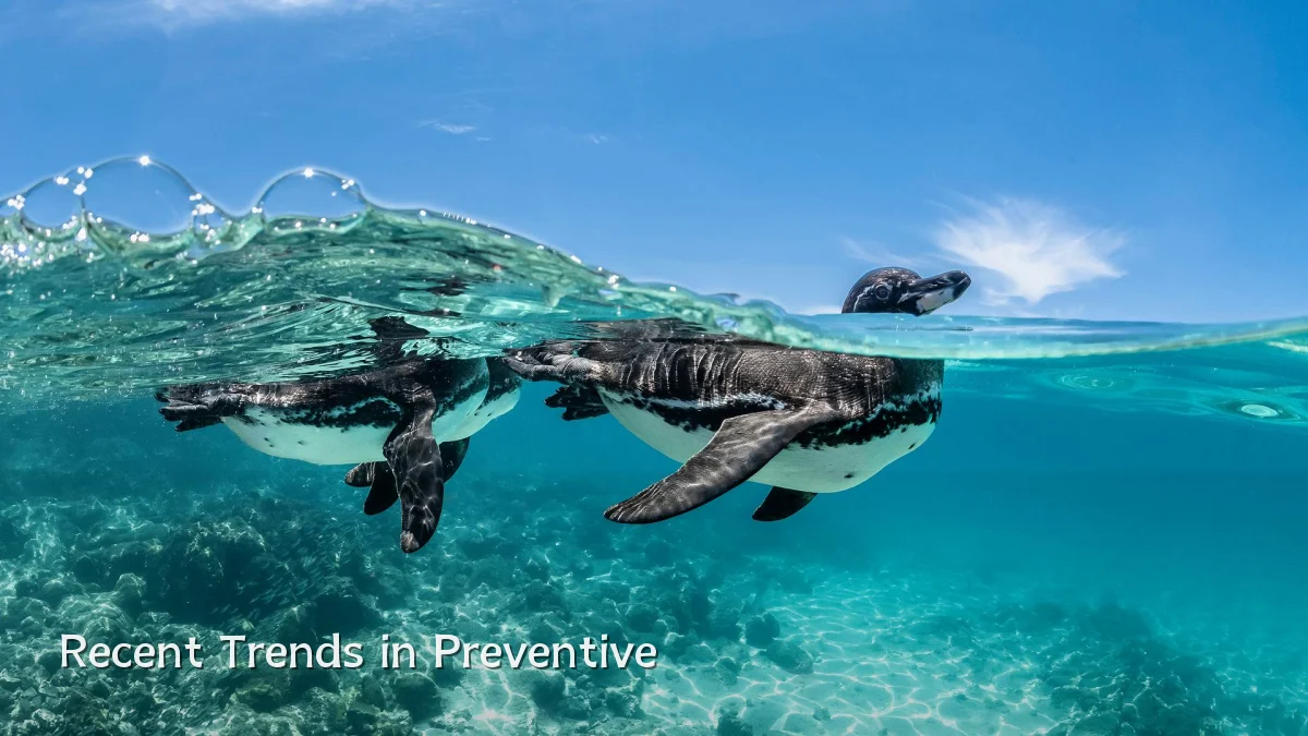 Recent Trends in Preventive