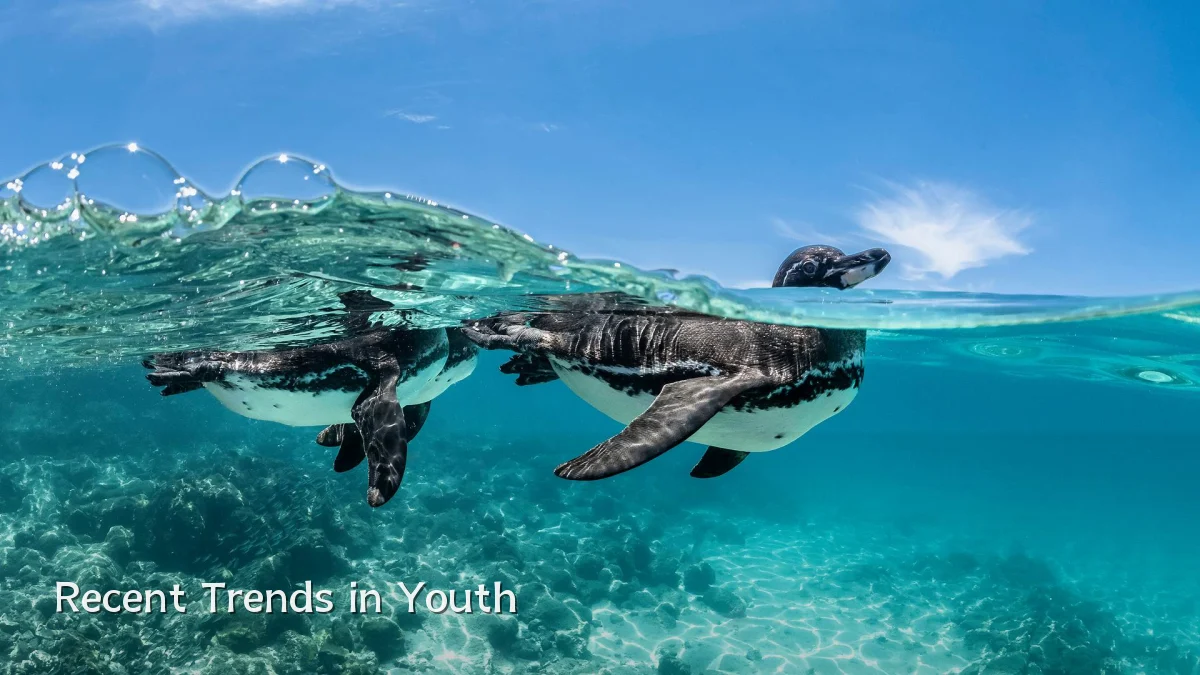 Recent Trends in Youth