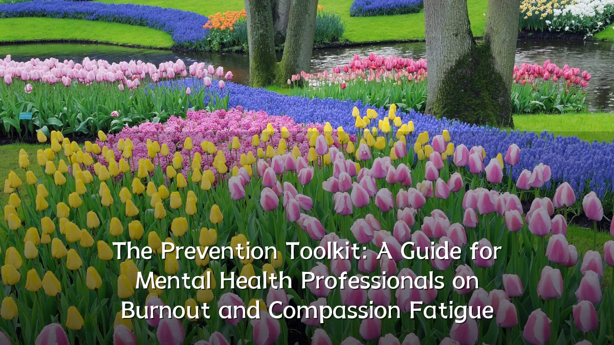 The Prevention Toolkit: A Guide for Mental Health Professionals on Burnout and Compassion Fatigue