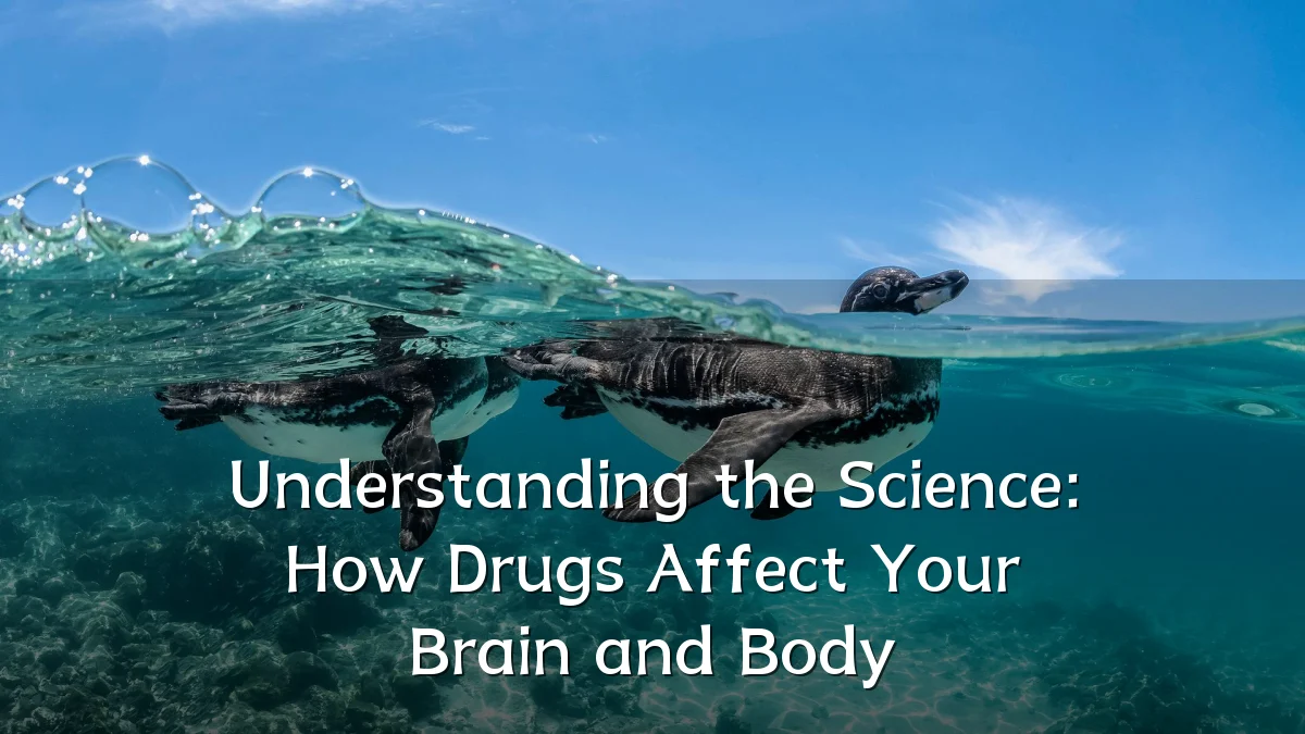 Understanding the Science: How Drugs Affect Your Brain and Body