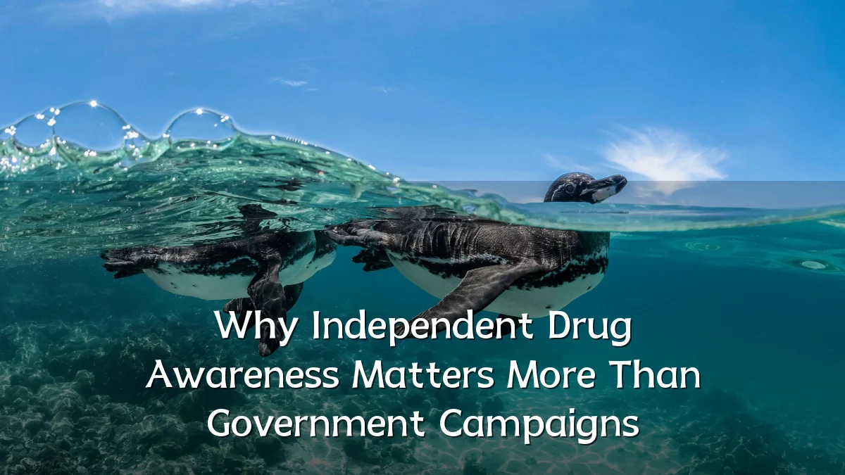 Why Independent Drug Awareness Matters More Than Government Campaigns