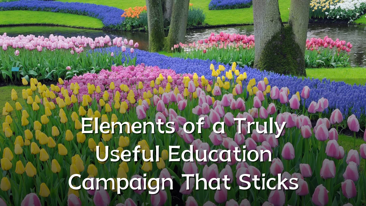 Elements of a Truly Useful Education Campaign That Sticks