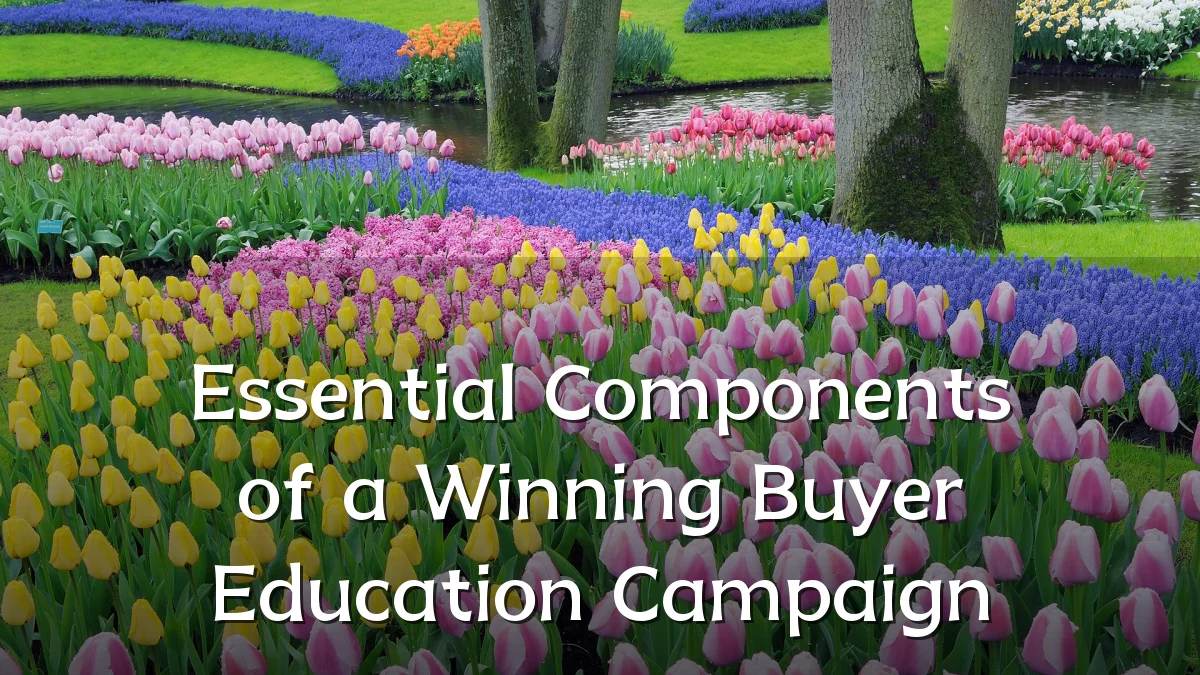 Essential Components of a Winning Buyer Education Campaign