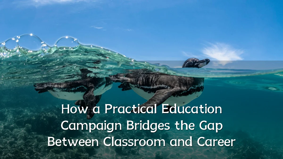 How a Practical Education Campaign Bridges the Gap Between Classroom and Career
