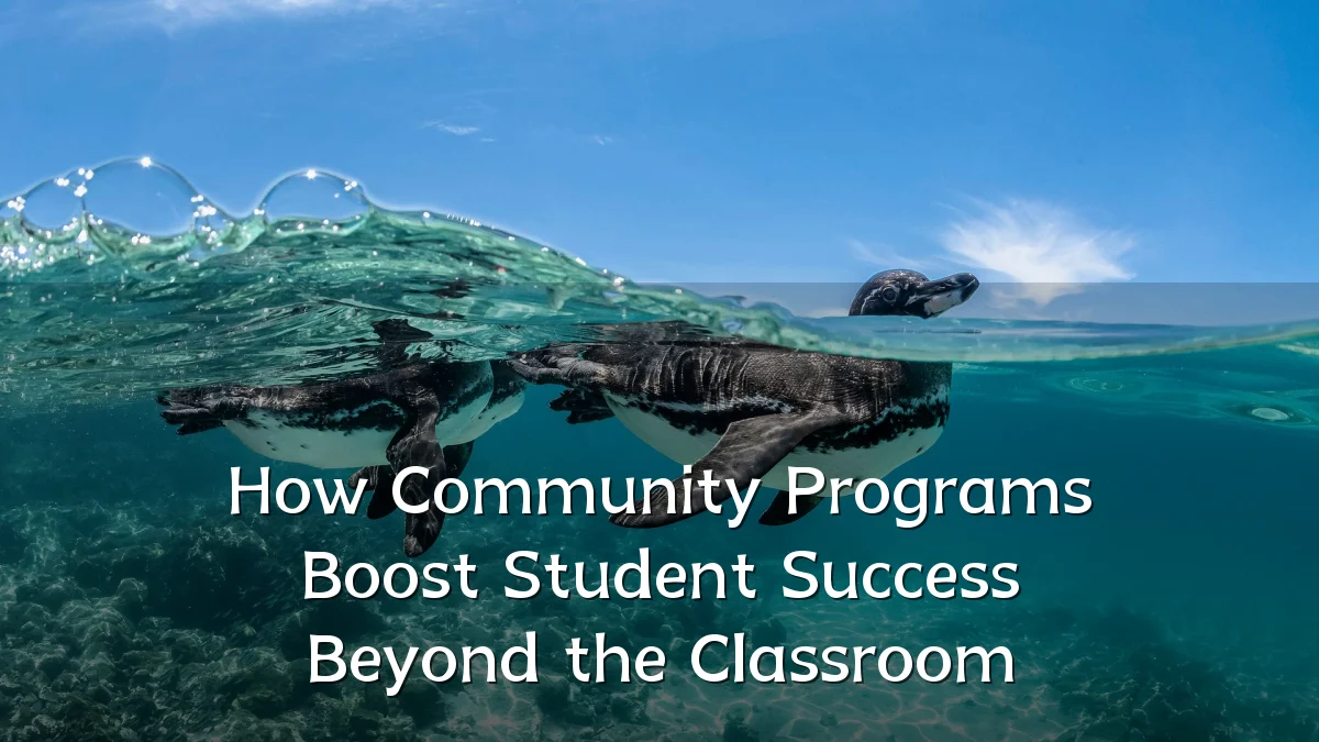 How Community Programs Boost Student Success Beyond the Classroom