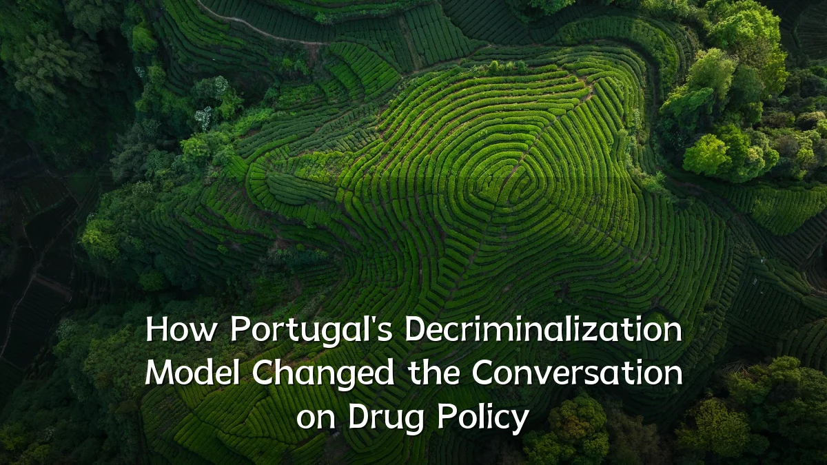How Portugal's Decriminalization Model Changed the Conversation on Drug Policy