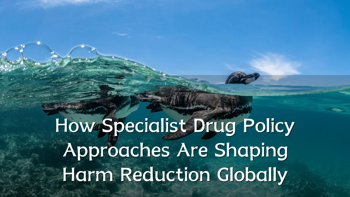 How Specialist Drug Policy Approaches Are Shaping Harm Reduction Globally