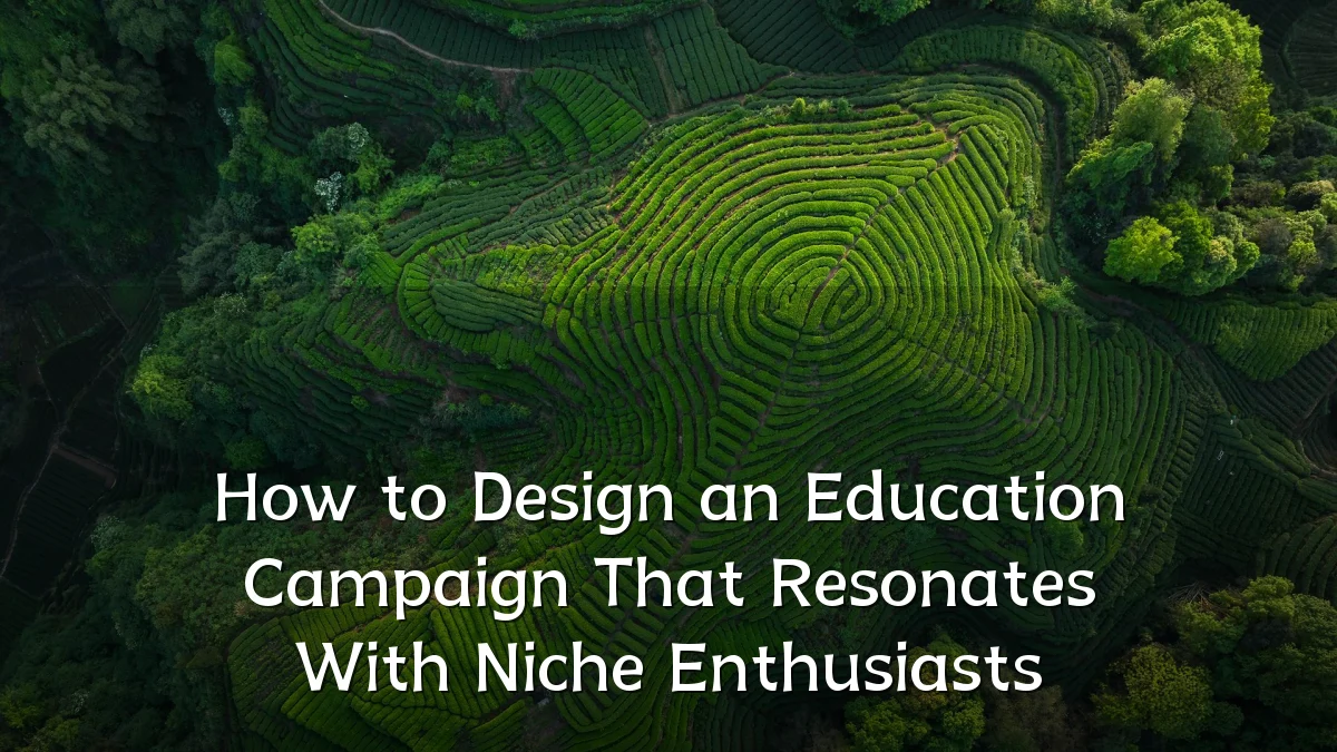 How to Design an Education Campaign That Resonates With Niche Enthusiasts
