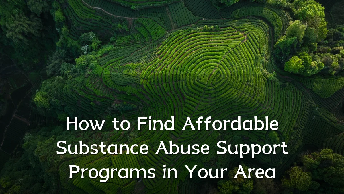 How to Find Affordable Substance Abuse Support Programs in Your Area