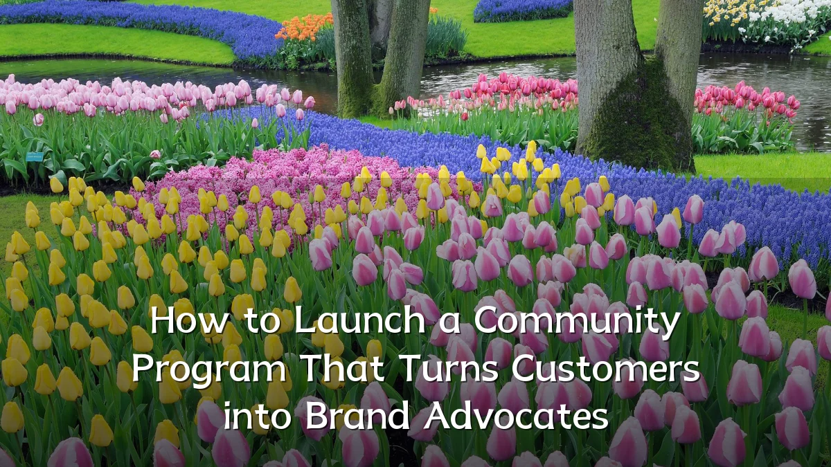 How to Launch a Community Program That Turns Customers into Brand Advocates