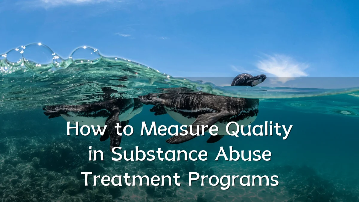 How to Measure Quality in Substance Abuse Treatment Programs