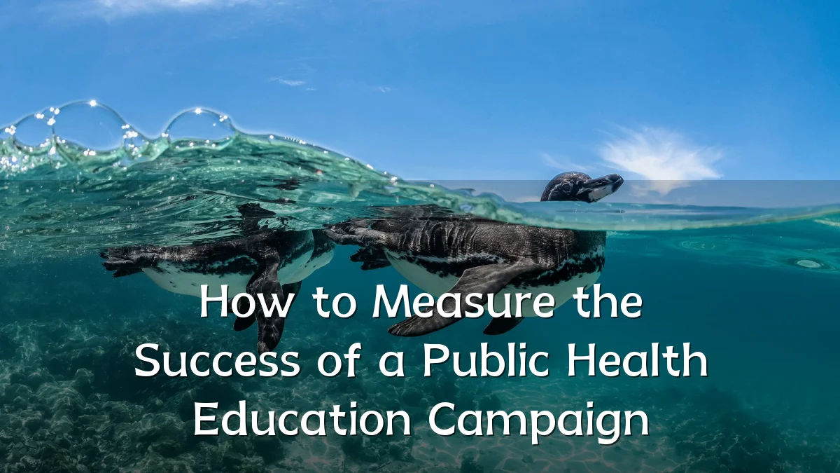 How to Measure the Success of a Public Health Education Campaign