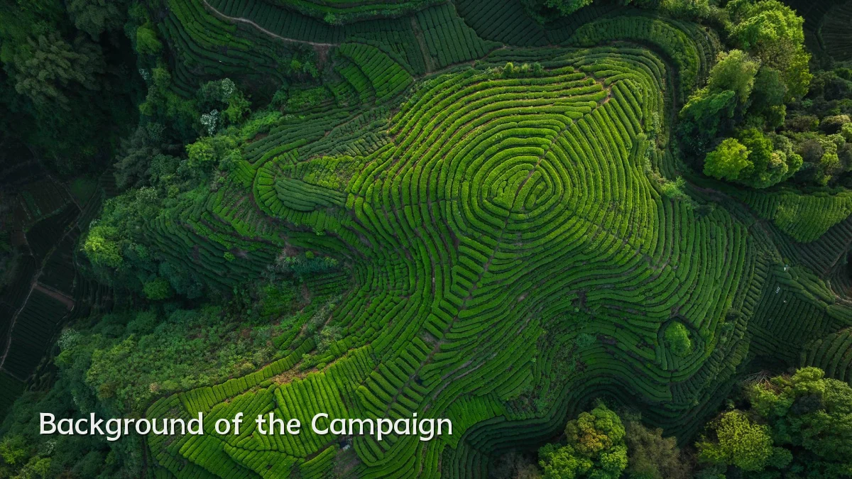 Background of the Campaign