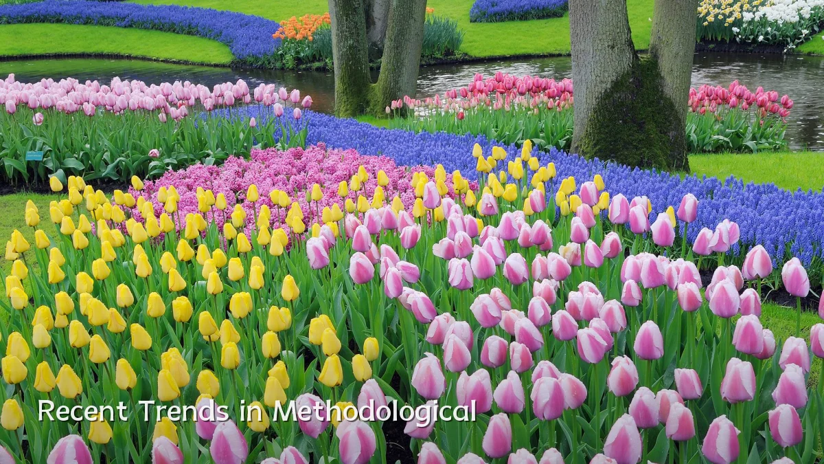 Recent Trends in Methodological