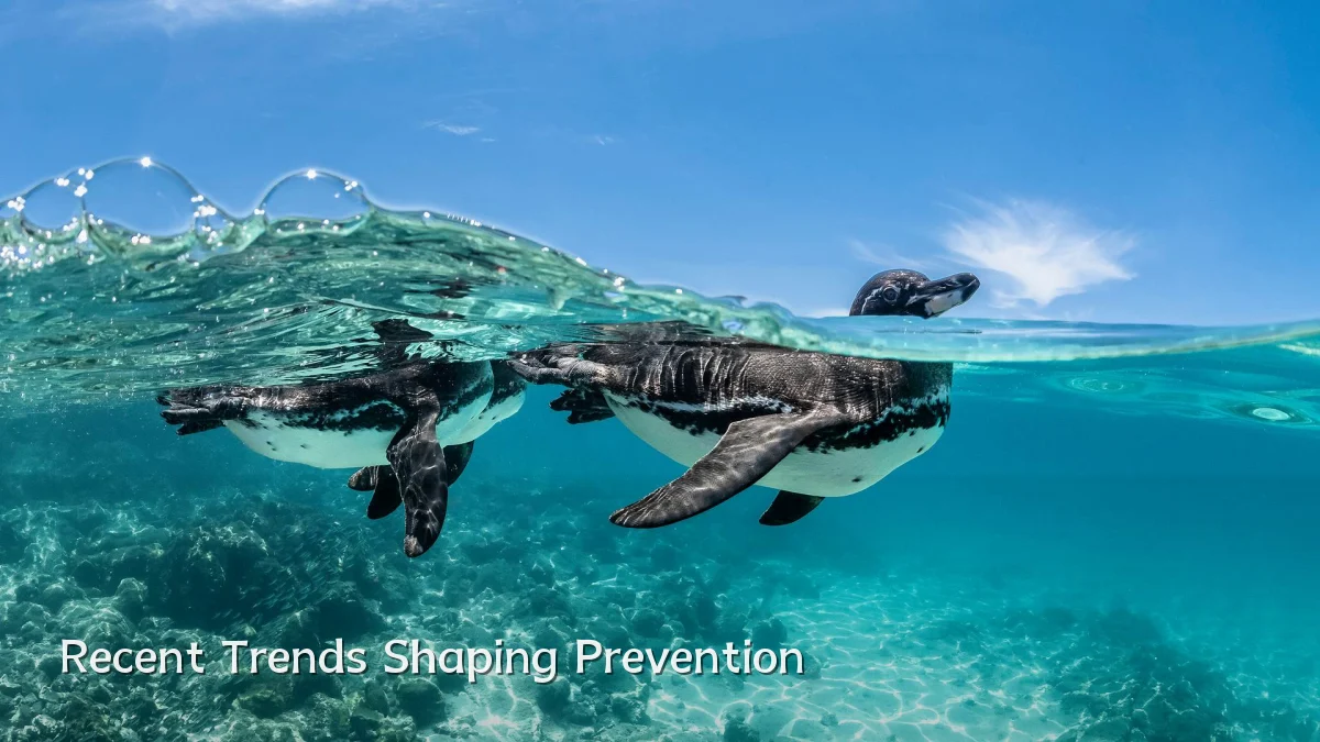 Recent Trends Shaping Prevention