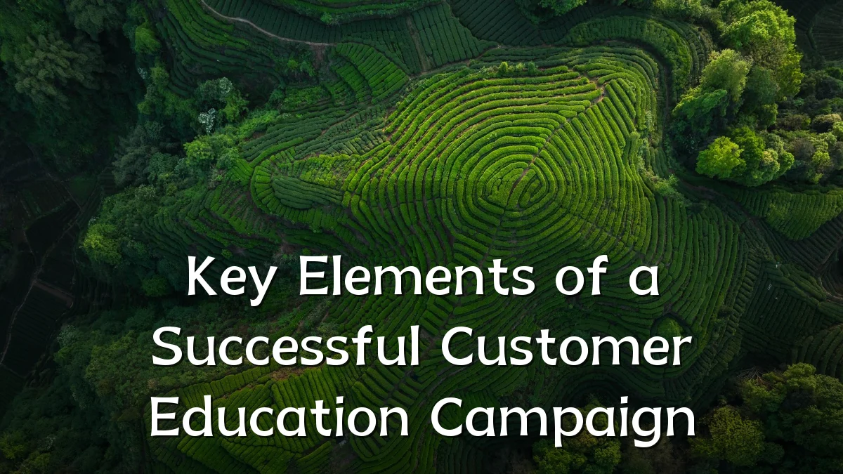 Key Elements of a Successful Customer Education Campaign