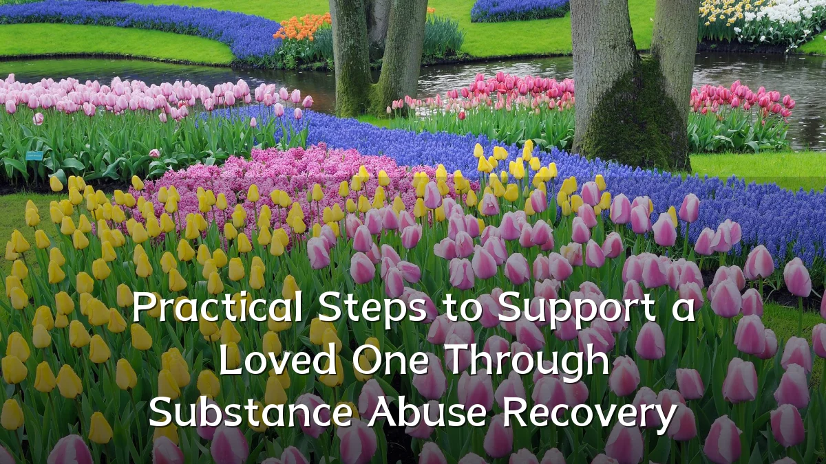 Practical Steps to Support a Loved One Through Substance Abuse Recovery
