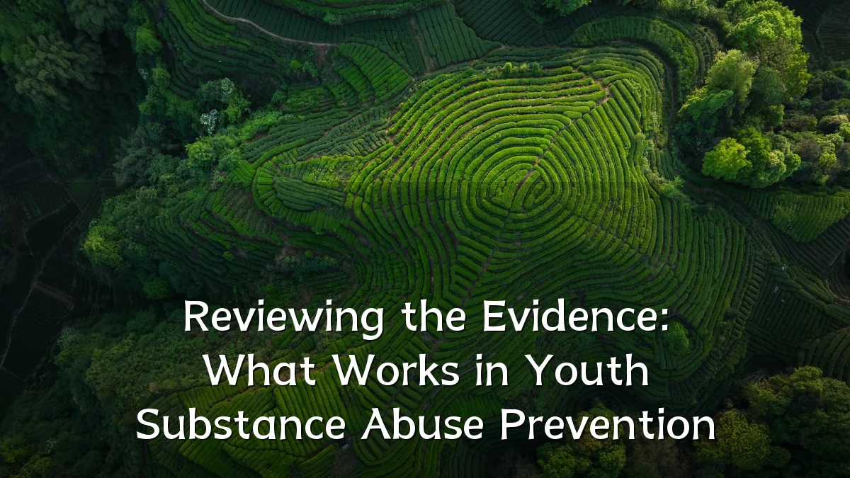 Reviewing the Evidence: What Works in Youth Substance Abuse Prevention