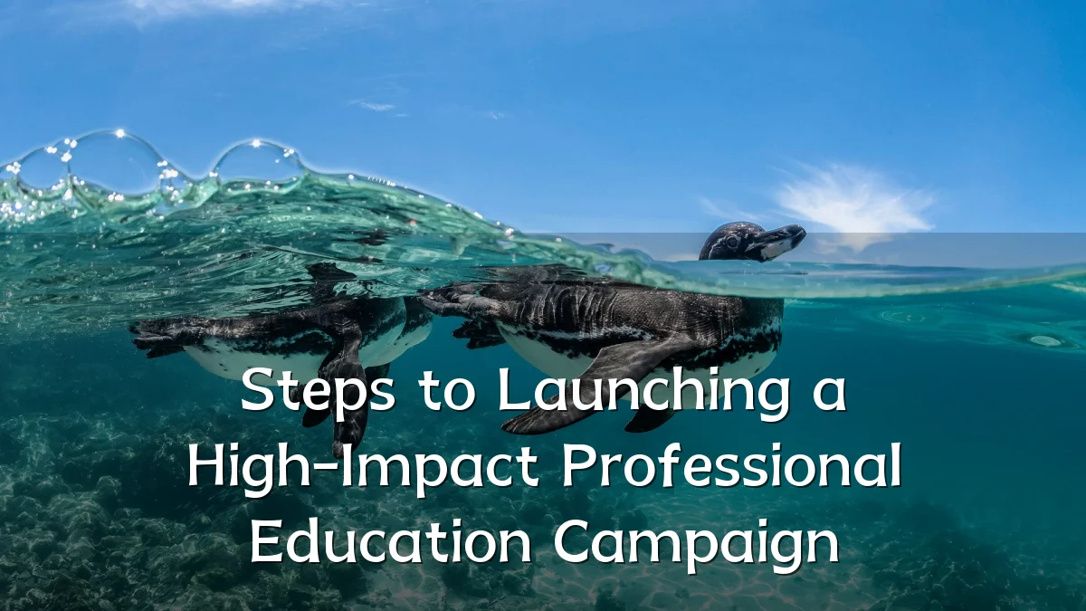 Steps to Launching a High-Impact Professional Education Campaign