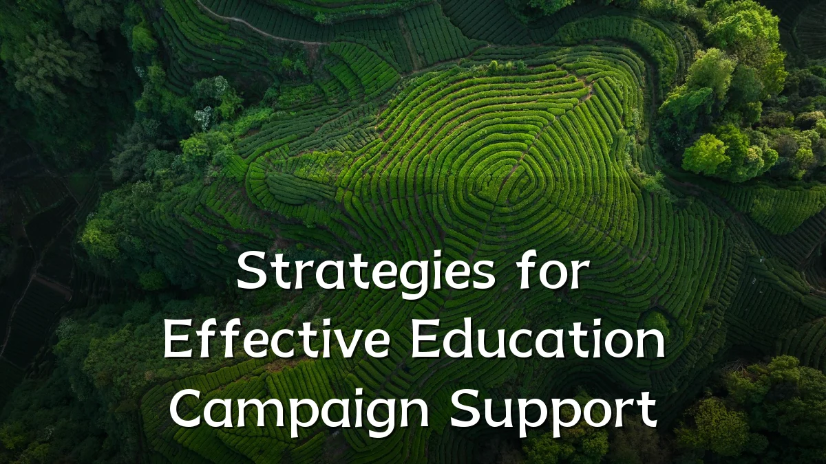 Strategies for Effective Education Campaign Support