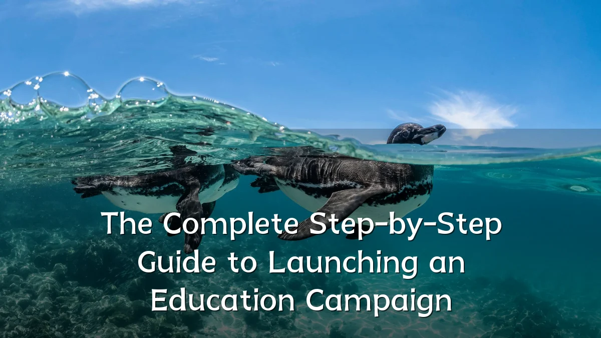 The Complete Step-by-Step Guide to Launching an Education Campaign