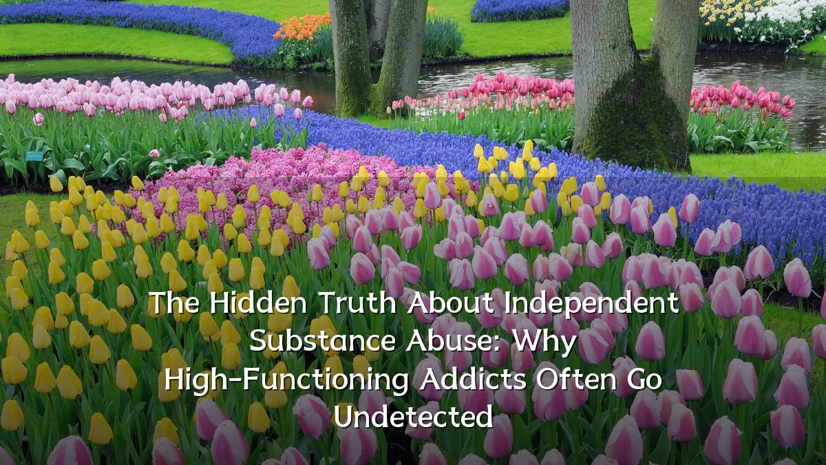 The Hidden Truth About Independent Substance Abuse: Why High-Functioning Addicts Often Go Undetected