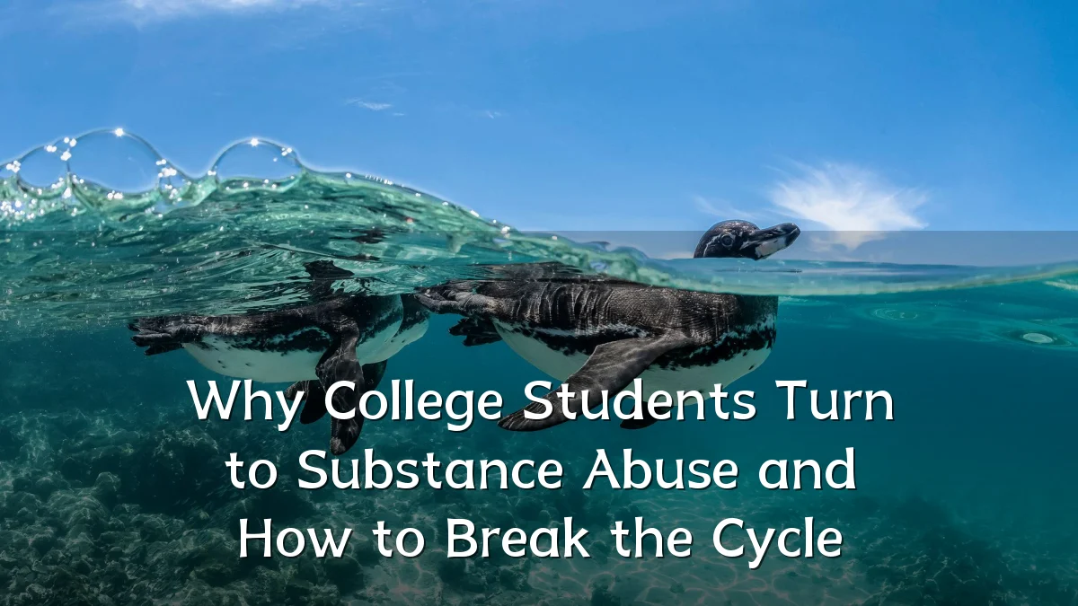 Why College Students Turn to Substance Abuse and How to Break the Cycle