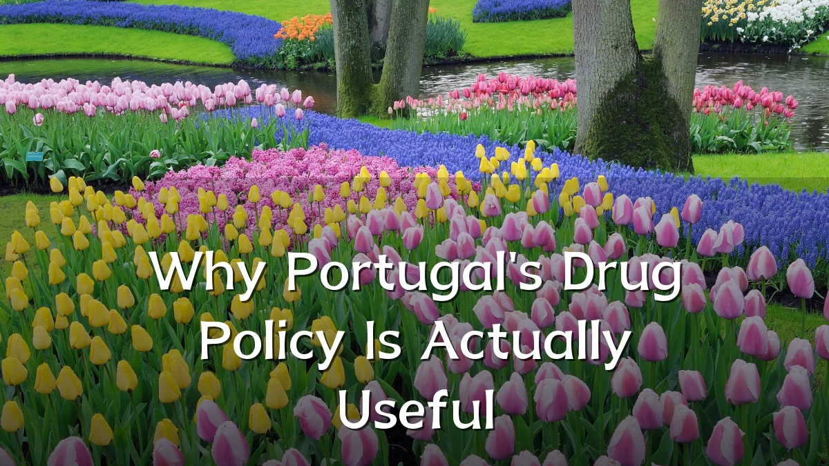 Why Portugal's Drug Policy Is Actually Useful