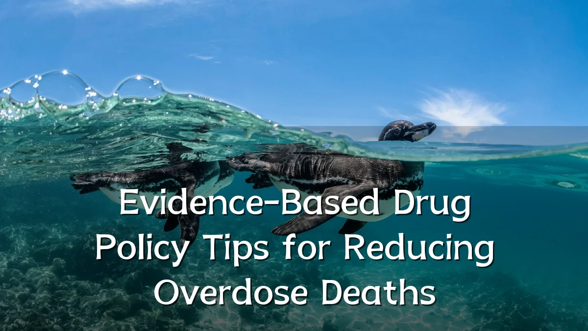 Evidence-Based Drug Policy Tips for Reducing Overdose Deaths