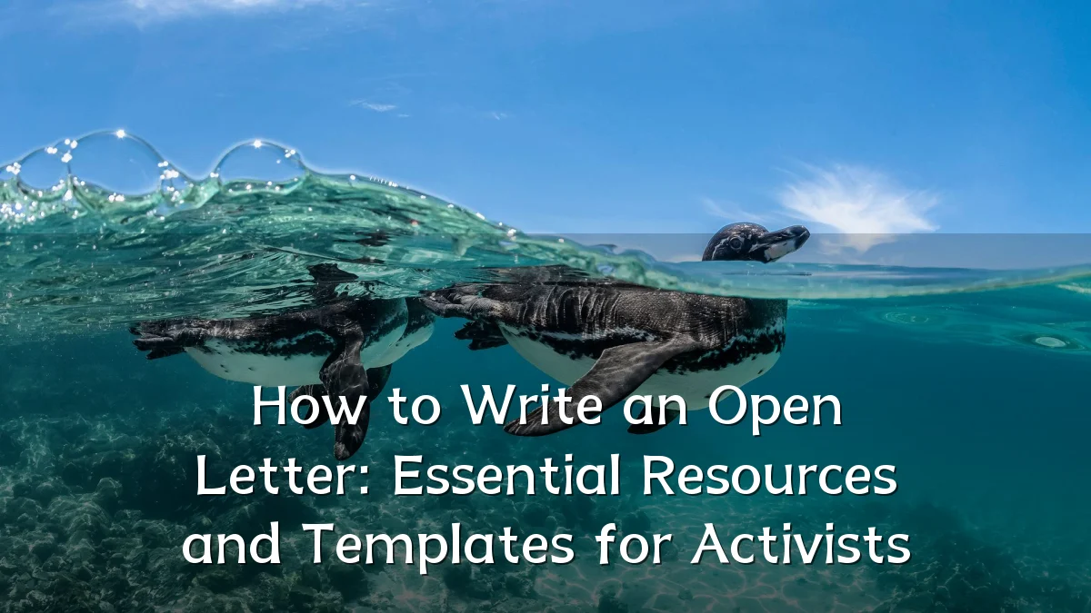 How to Write an Open Letter: Essential Resources and Templates for Activists