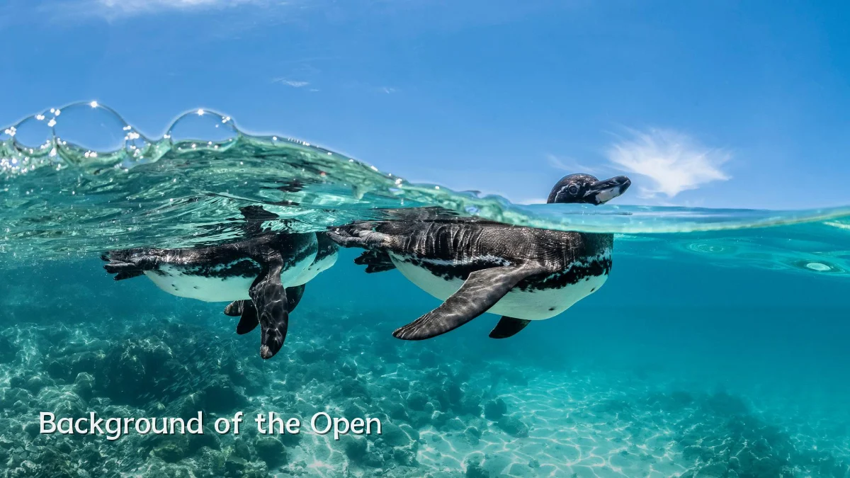 Background of the Open