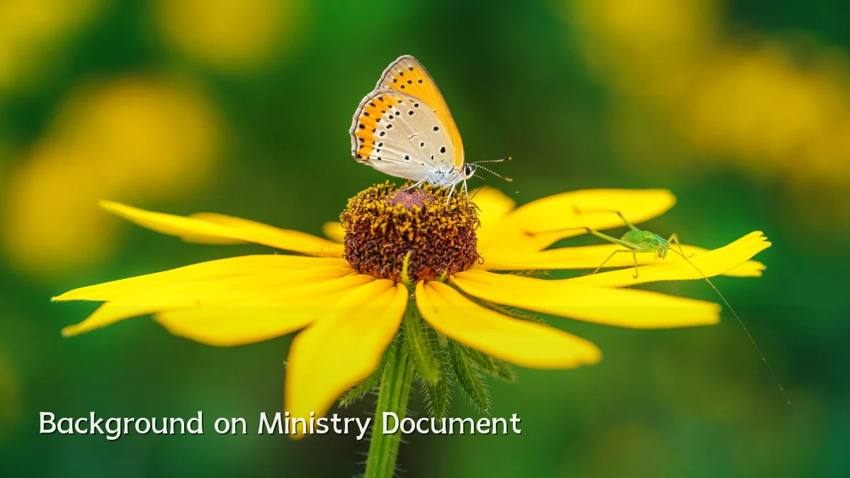 Background on Ministry Document