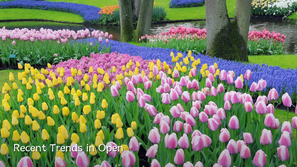 Recent Trends in Open