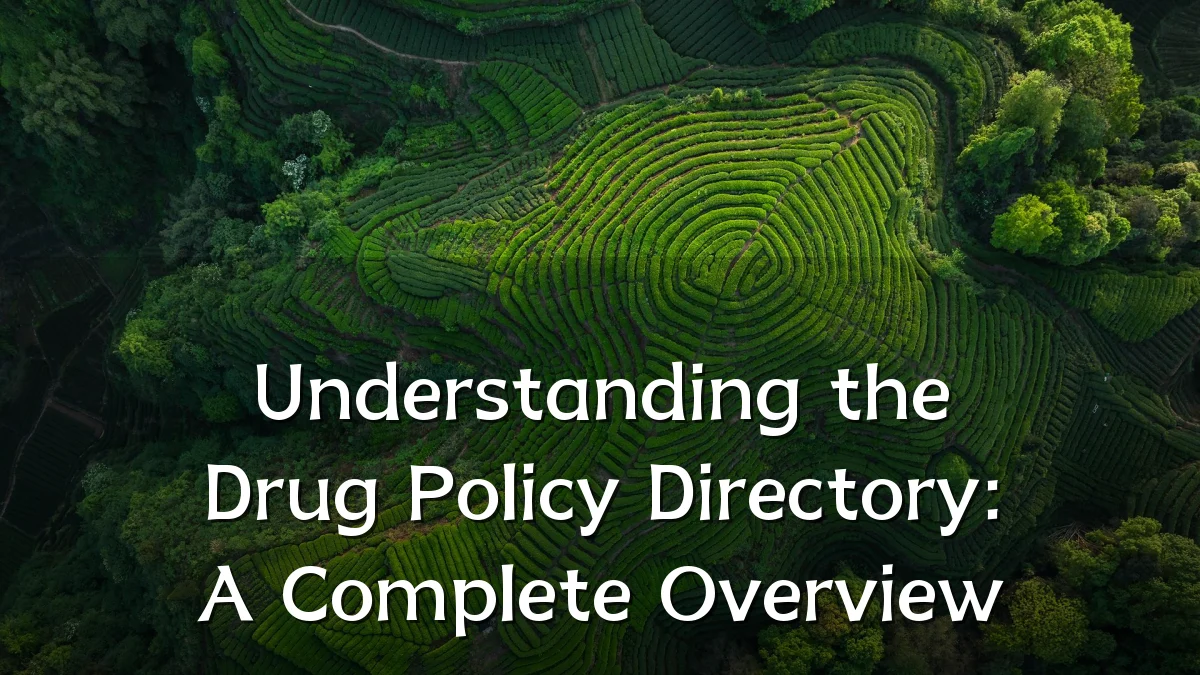 Understanding the Drug Policy Directory: A Complete Overview