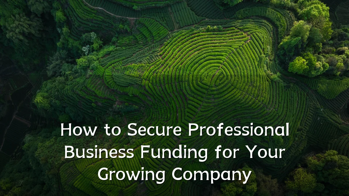 How to Secure Professional Business Funding for Your Growing Company