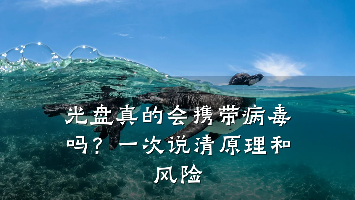 光盘真的会携带病毒吗?一次说清原理和风险